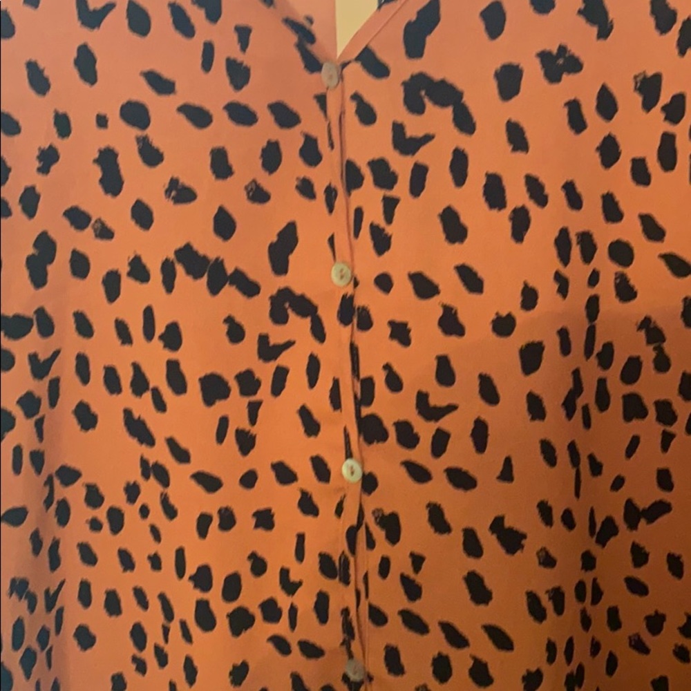 Dress - Picture 3 of 6